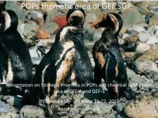 POPs thematic area of GEF SGP
