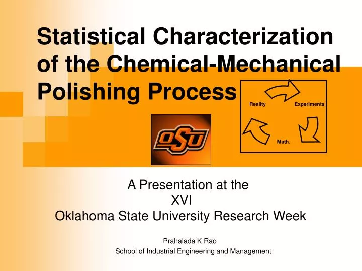 statistical characterization of the chemical mechanical polishing process