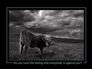 Do you have the feeling that everybody is against you?