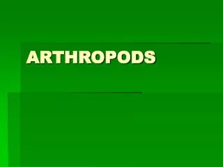 ARTHROPODS
