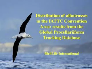 Distribution of albatrosses in the IATTC Convention Area: results from the Global Procellariiform Tracking Database Bird