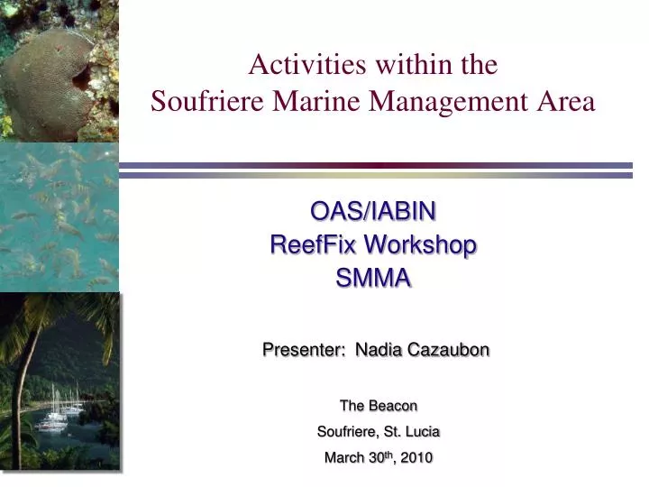 activities within the soufriere marine management area