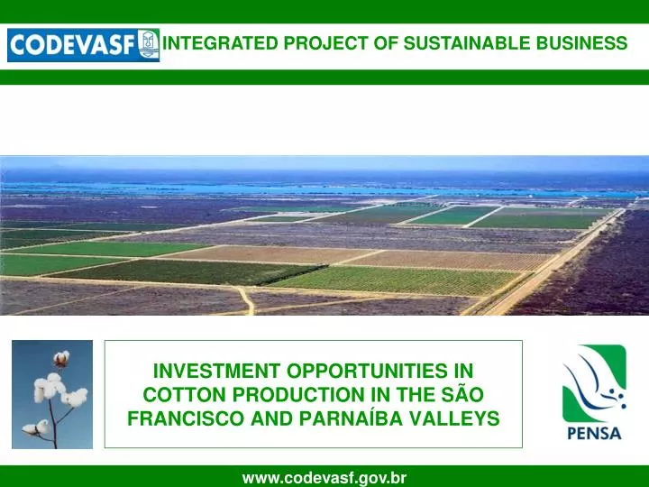 investment opportunities in cotton production in the s o francisco and parna ba valleys