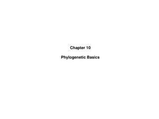 Chapter 10 Phylogenetic Basics
