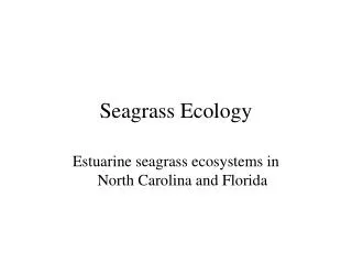 Seagrass Ecology