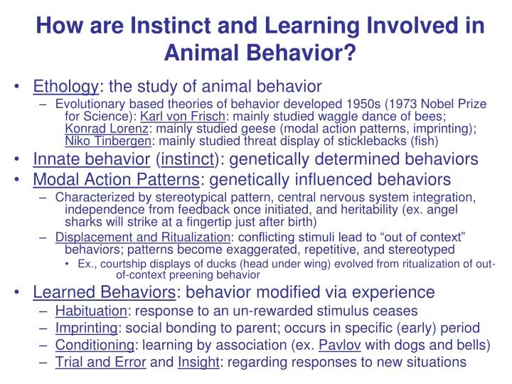 how are instinct and learning involved in animal behavior