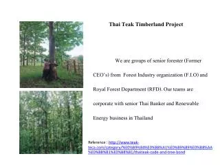 Thai Teak Timberland Project