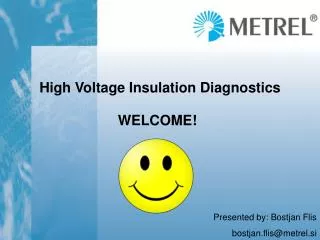 High Voltage Insulation Diagnostics
