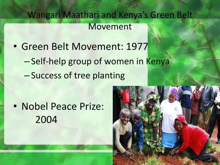 wangari maathari and kenya s green belt movement