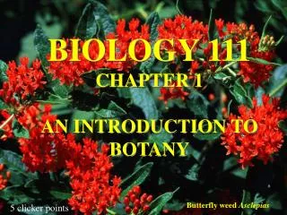 BIOLOGY 111 CHAPTER 1 AN INTRODUCTION TO BOTANY