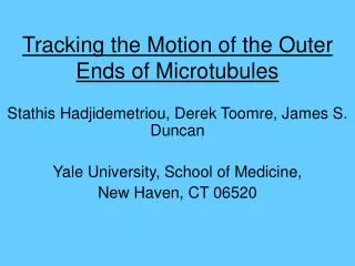 Tracking the Motion of the Outer Ends of Microtubules