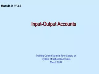 Input-Output Accounts
