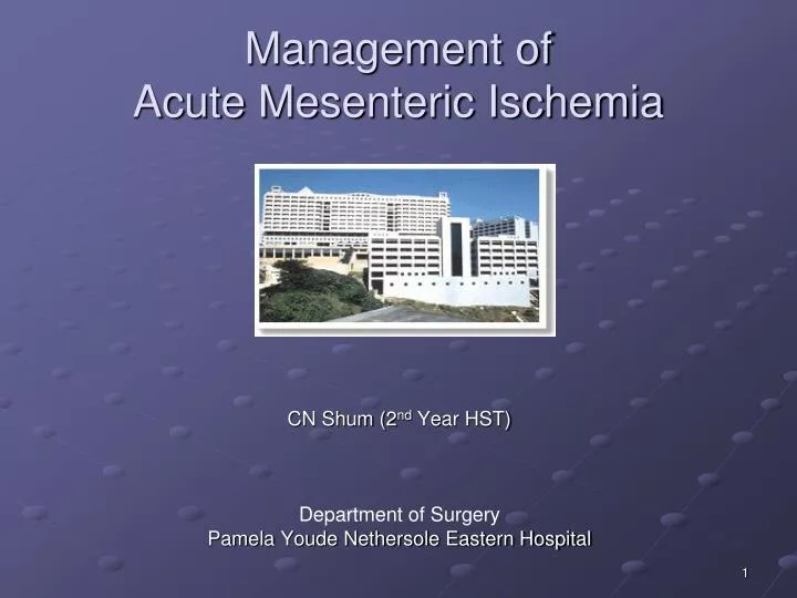 management of acute mesenteric ischemia