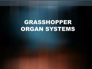 GRASSHOPPER ORGAN SYSTEMS