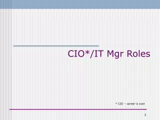 CIO*/IT Mgr Roles