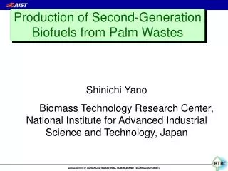 Production of Second-Generation Biofuels from Palm Wastes