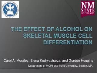 The Effect of Alcohol on Skeletal Muscle Cell Differentiation