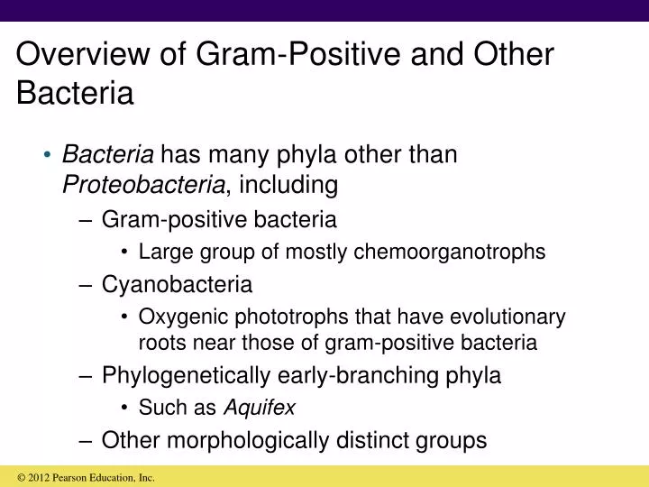 overview of gram positive and other bacteria