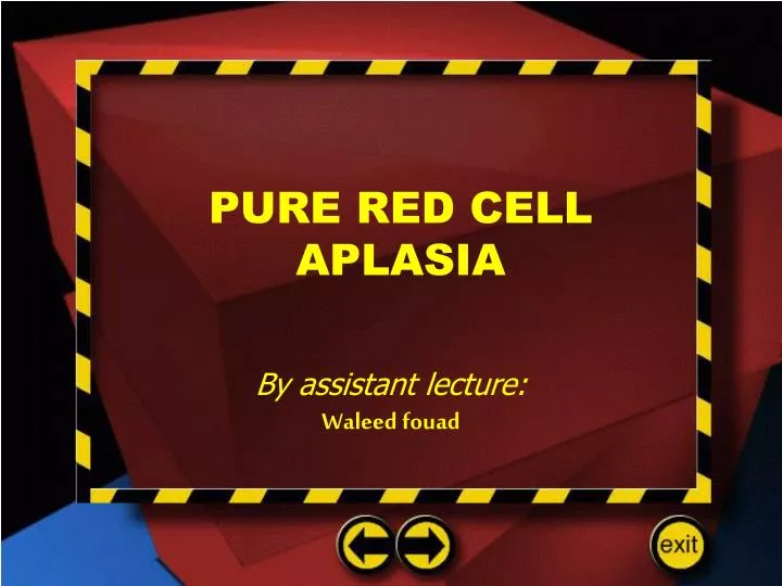 pure red cell aplasia