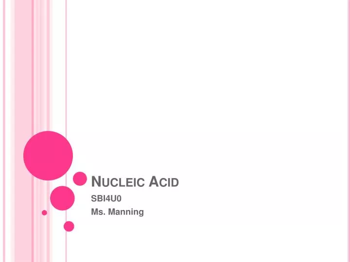 nucleic acid