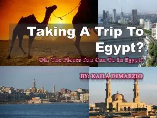 Taking A Trip To Egypt?