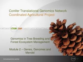 Genomics in Tree Breeding and Forest Ecosystem Management ----- Module 2 – Genes, Genomes and Mendel