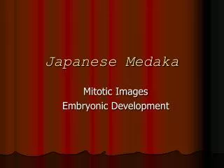 Japanese Medaka