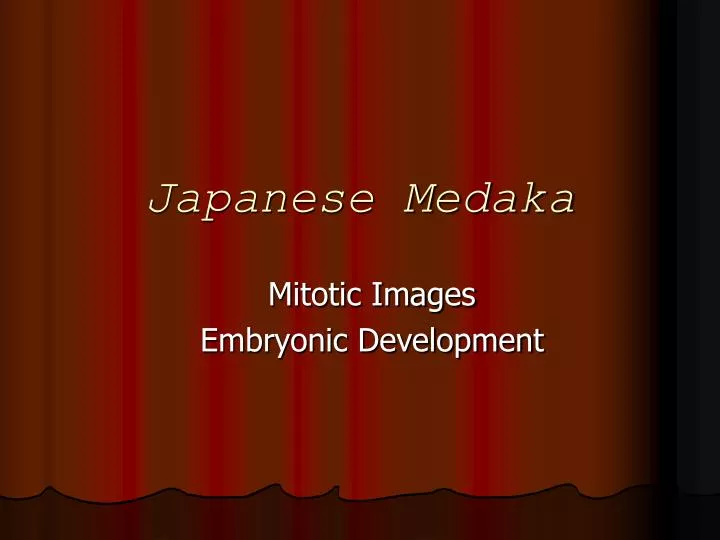 japanese medaka