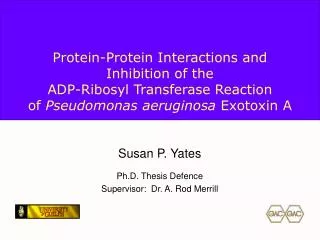 Protein-Protein Interactions and Inhibition of the ADP-Ribosyl Transferase Reaction of Pseudomonas aeruginosa Exotox