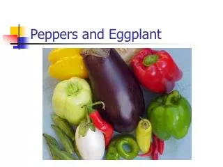 Peppers and Eggplant
