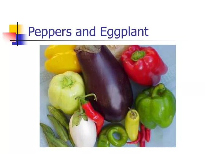 peppers and eggplant