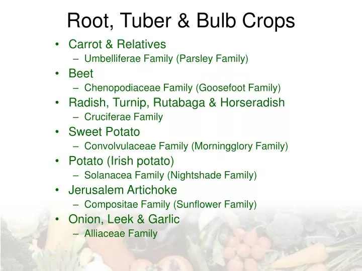 root tuber bulb crops