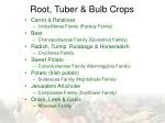 Root, Tuber &amp; Bulb Crops - slide 1