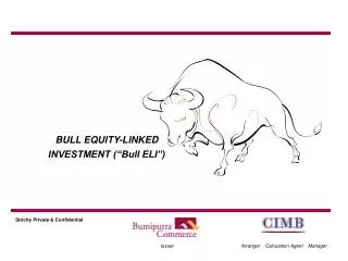 BULL EQUITY-LINKED INVESTMENT (“Bull ELI”)