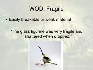 WOD: Fragile