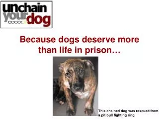 Because dogs deserve more than life in prison…