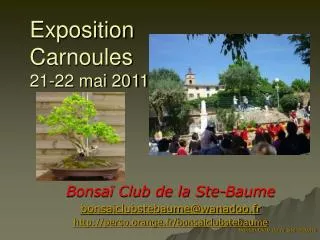 Exposition Carnoules 21-22 mai 2011