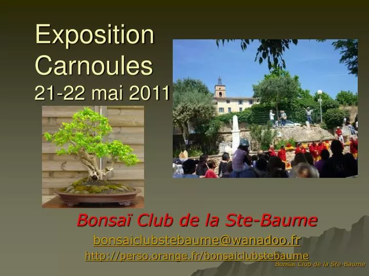exposition carnoules 21 22 mai 2011