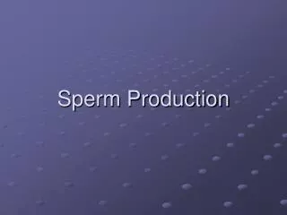 Sperm Production