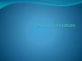 DNA Organization