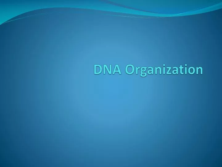 dna organization
