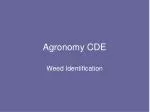 Agronomy CDE - slide 1