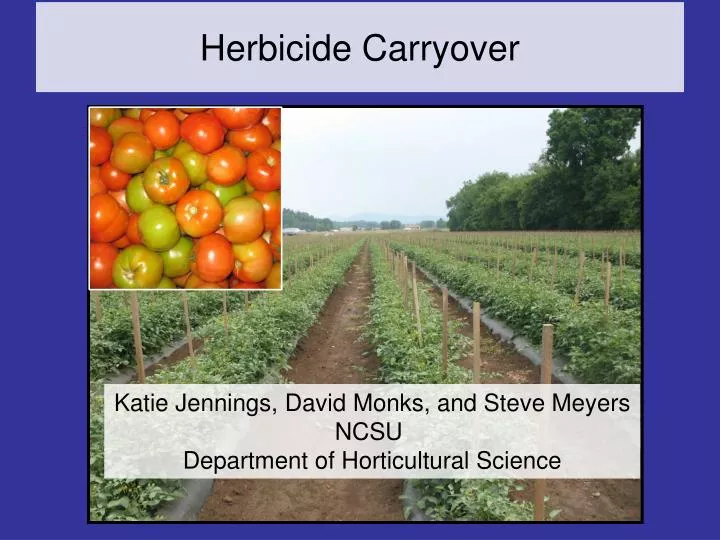 herbicide carryover