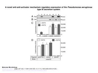 A novel anti?anti?activator mechanism regulates expression of the Pseudomonas aeruginosa type III secretion system