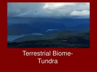 Tundra-Terrestrial Biome