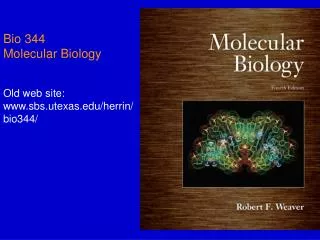 Bio 344 Molecular Biology Old web site: www.sbs.utexas.edu/herrin/bio344/