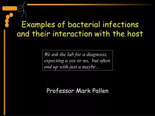 Examples of bacterial infections and their interaction with the host