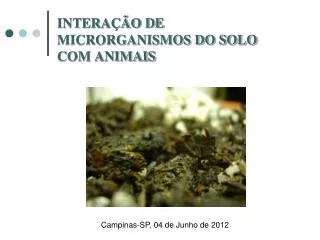 intera o de microrganismos do solo com animais