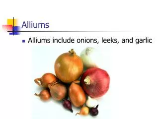 Alliums