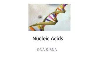 Nucleic Acids